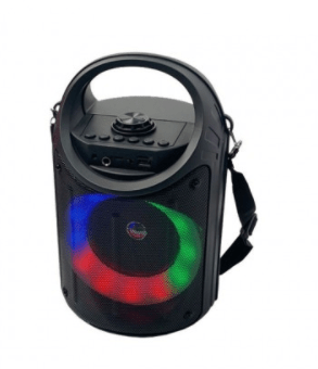 BT SPEAKER ZQS6122